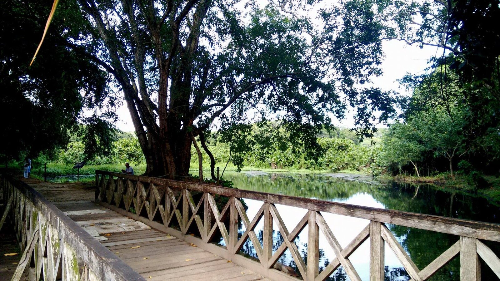 Jardim Botânico e Vale dos Dinossauros têm funcionamento alterado durante festas de fim de ano na Paraíba